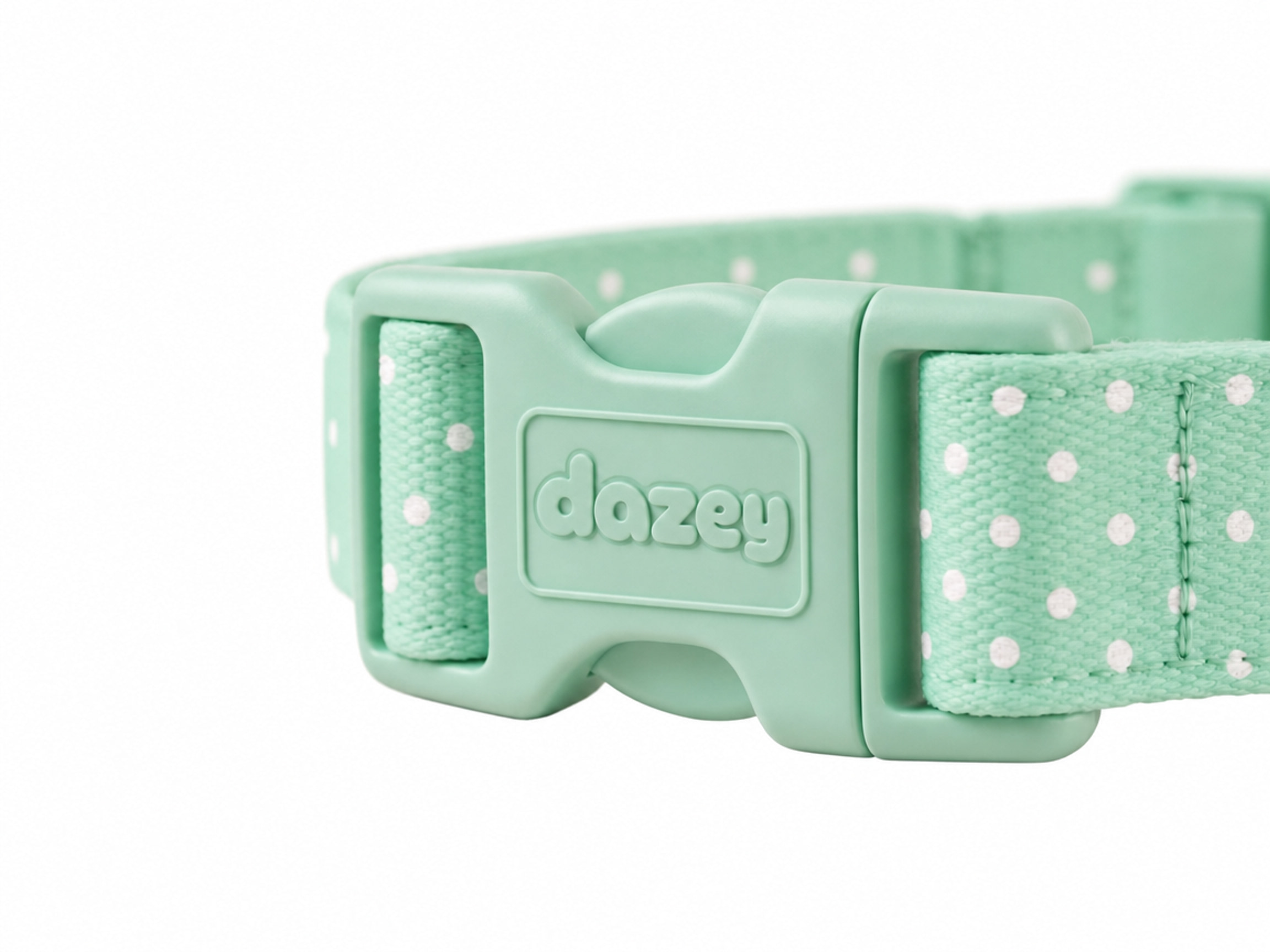 Mint Chip collar buckle detail